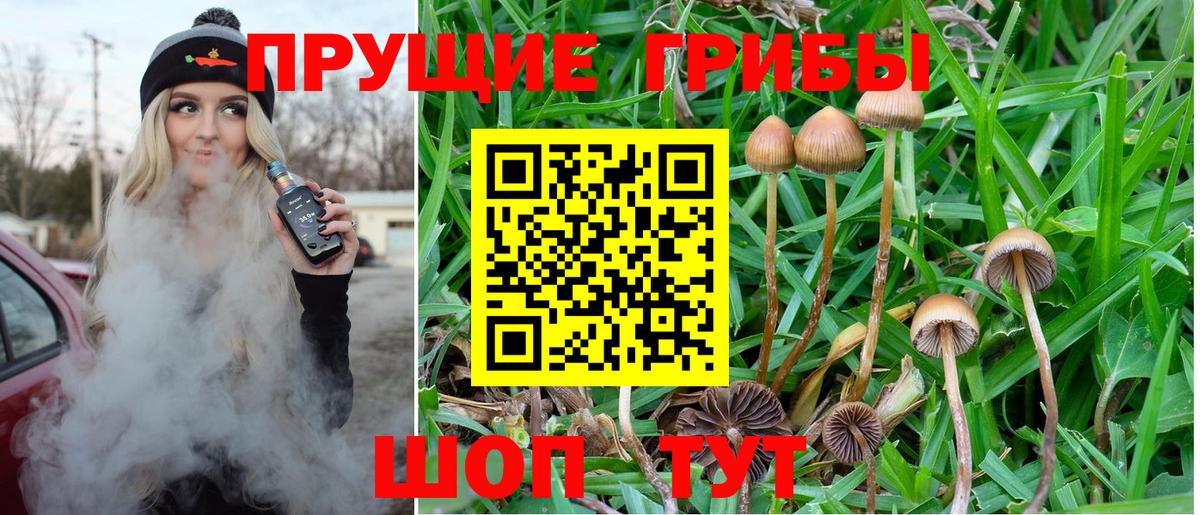 Псилоцибиновые грибы MAGIC MUSHROOMS Кимовск