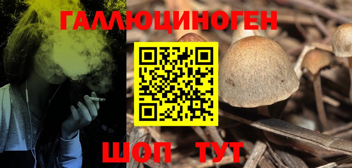 Галлюциногенные грибы Cubensis  Вход с VPN  Кимовск 
